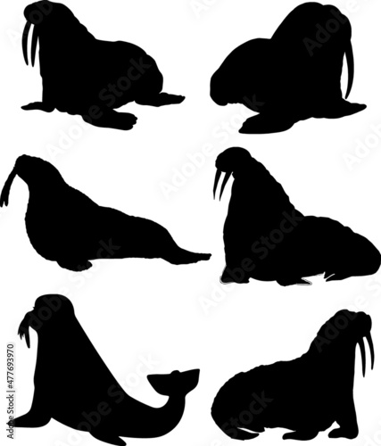 Walrus Silhouette Pack