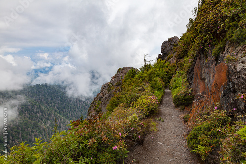 Charlie's Bunion on the Appalachian Trail in the Great Smoky Mountains Fototapet