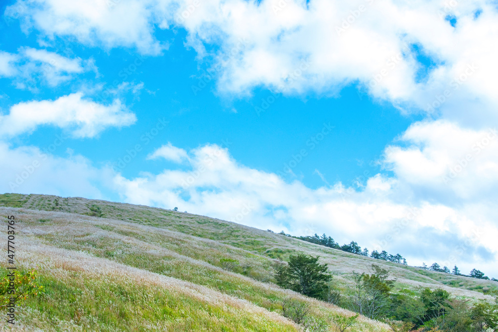 landscape with blue sky landscape with blue sky