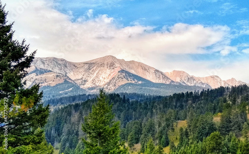 Canvas Print Bridger Mountains in Summer