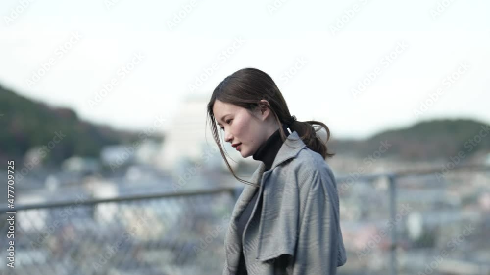 クールなビジネスウーマン クールなビジネスウーマン