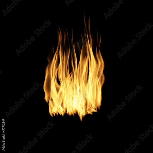 Fire flames on black background.