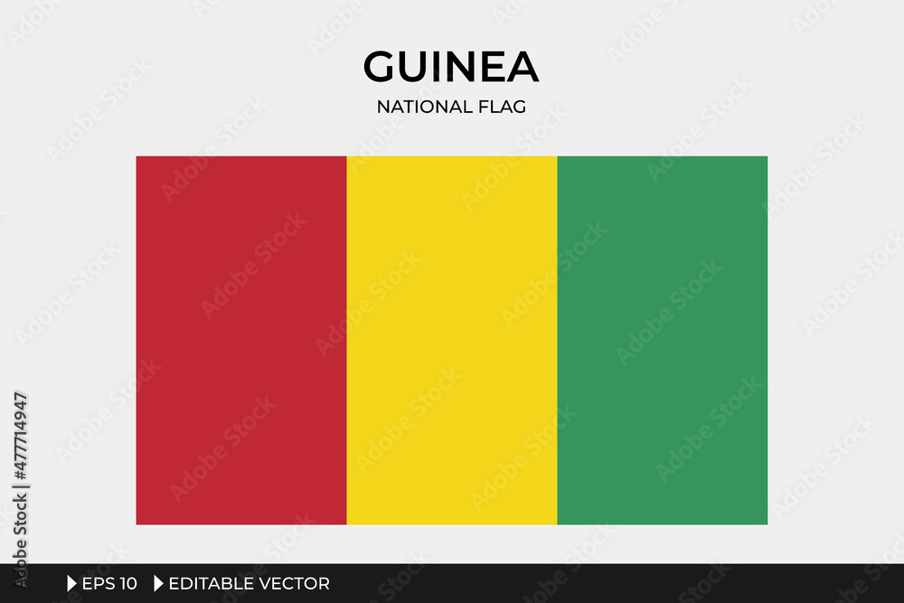 Fototapeta premium Guinea National Flag Illustration