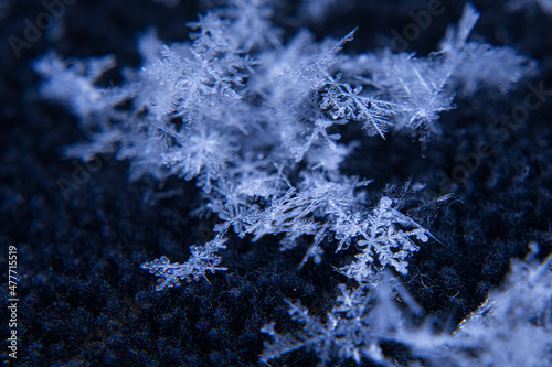                Snow Crystal