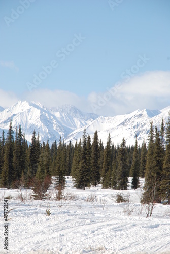 Alaska Pictures
