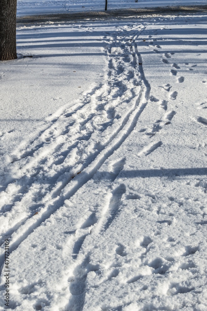 Footprints and ski track in snow on sunny frosty  winter day