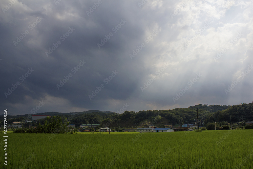 It is a rural landscape on a cloudy day It is a rural landscape on a cloudy day