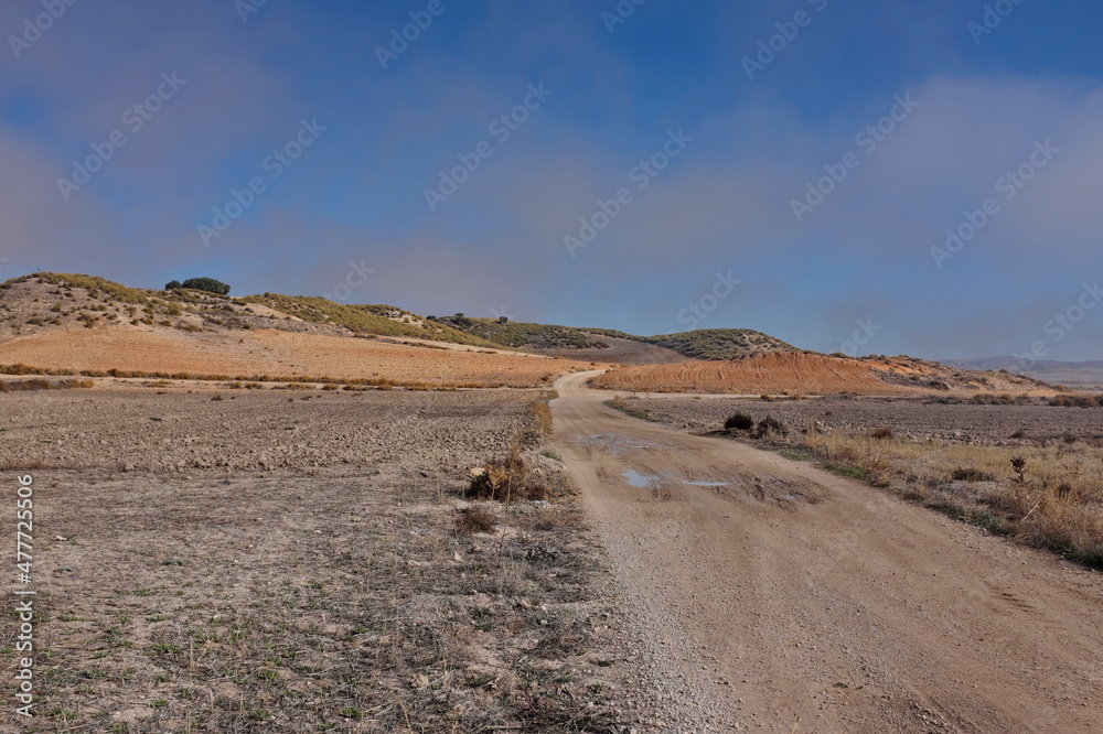 Chemin de terre dans la campagne d'Andalousie. Espagne.