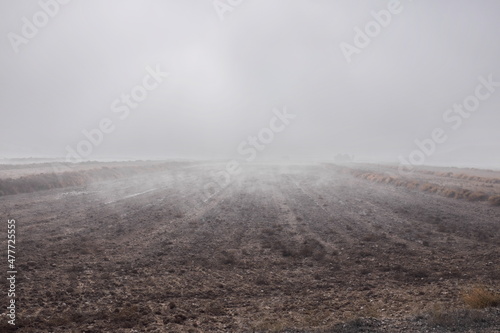 Champ cultivé dans la brume