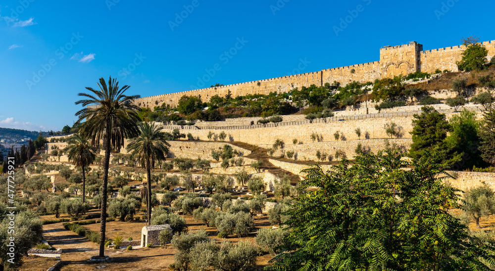 Panorama of Temple Mount eastern wall seen from Mount of Olives over Kidron Valley in Jerusalem Old City in Israel