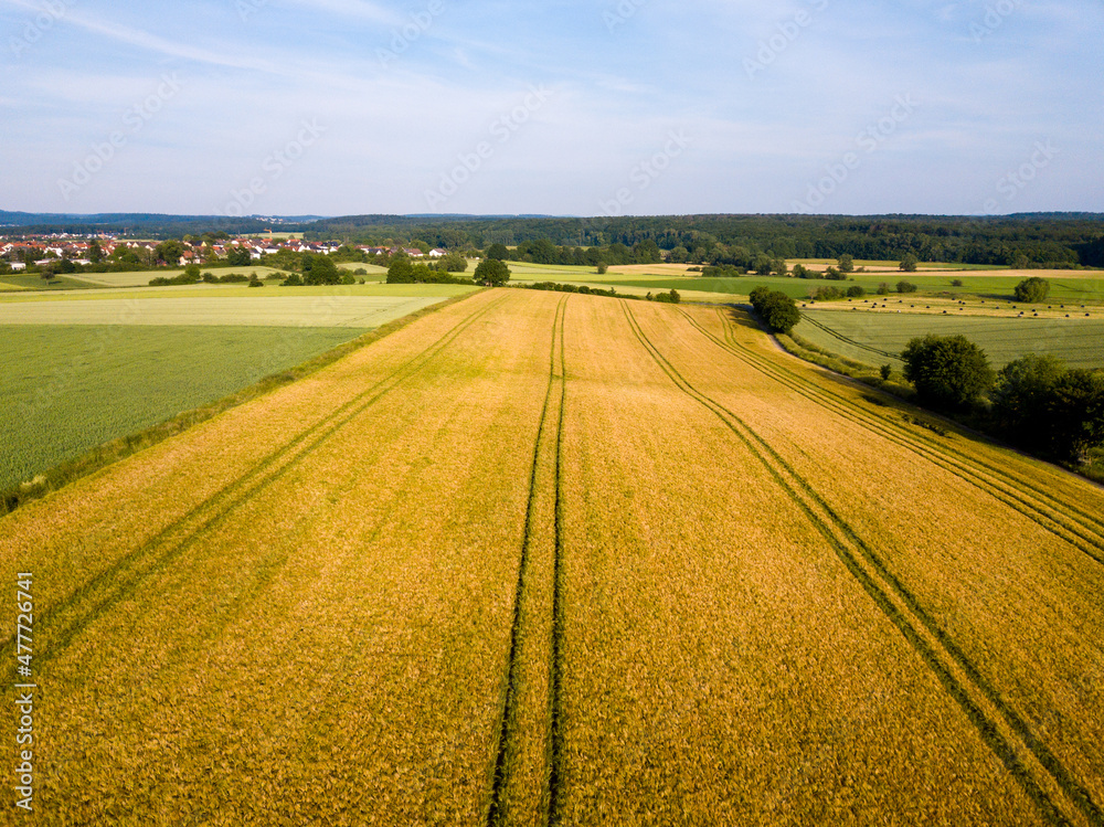 Aerial drone view of yellow rape seed field and other fields in an agricultural area close to Frankfurt, Hessen Aerial drone view of yellow rape seed field and other fields in an agricultural area close to Frankfurt, Hessen
