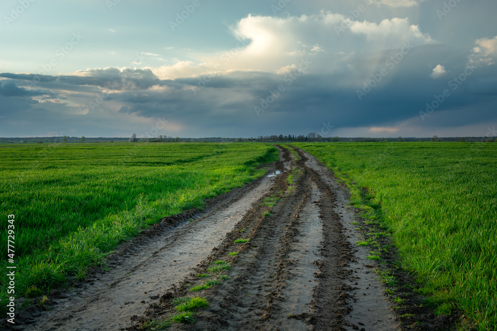 Muddy road through green fields and cloud on the sky Muddy road through green fields and cloud on the sky