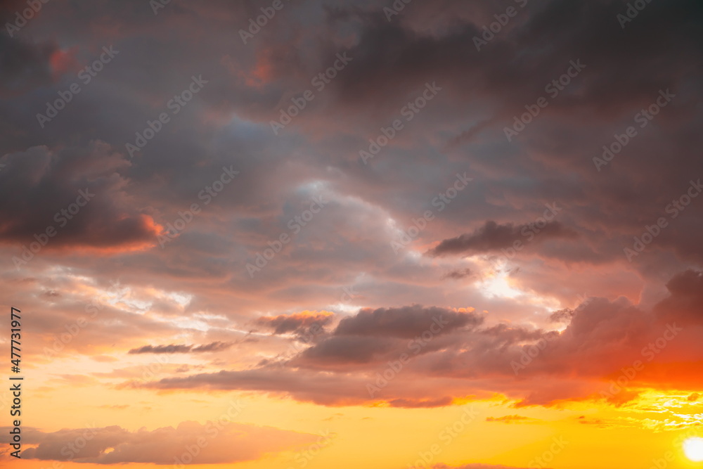 5K 4K Sunset Cloudy Sky With Fluffy Clouds. Sunset Sky Natural Background. Dramatic Sky. Sunset In Yellow, Orange, Pink Colors. Day To Night Transition. Cloudy Sky With Fluffy Clouds. Natural