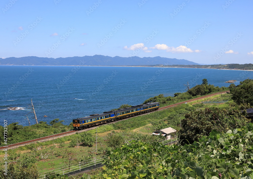 Fototapeta premium 日本海と貨物列車