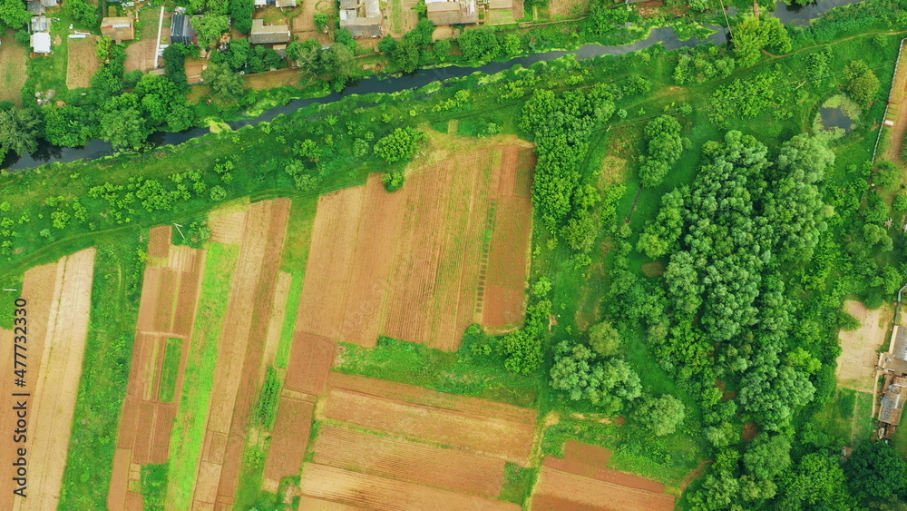 4K Aerial View Of Vegetable Garden. Potato Plantation At Summer Day. Village Garden Beds