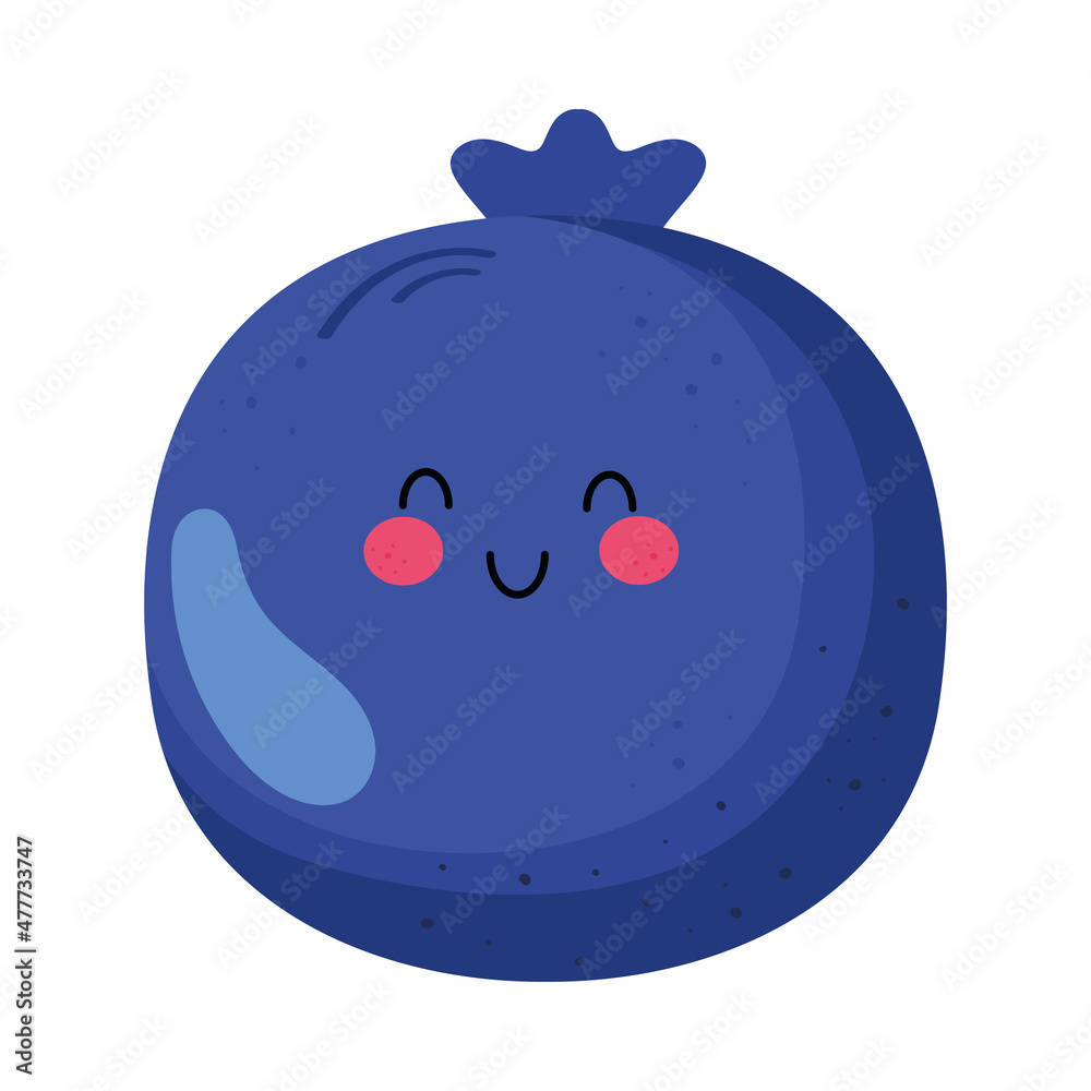 blueberry delicious fruit blueberry delicious fruit
