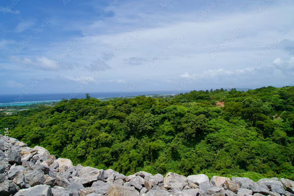 Landscape of Okinawa nature from Nakijin castle.