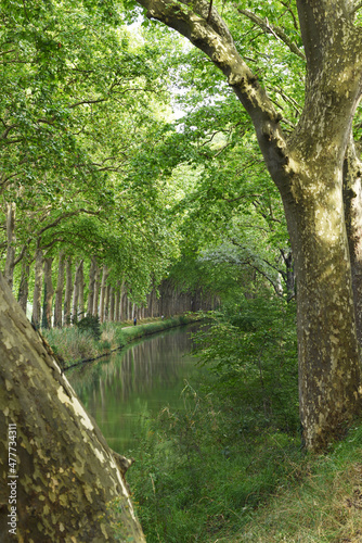 Canal du Midi Toulouse