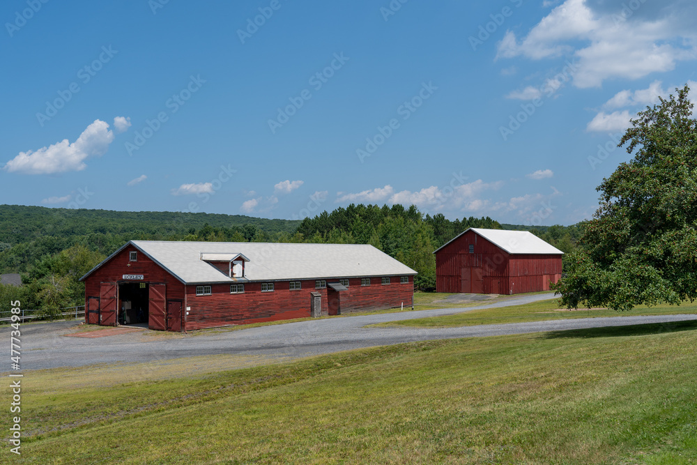 Two Red Barns on Grassy Field Two Red Barns on Grassy Field
