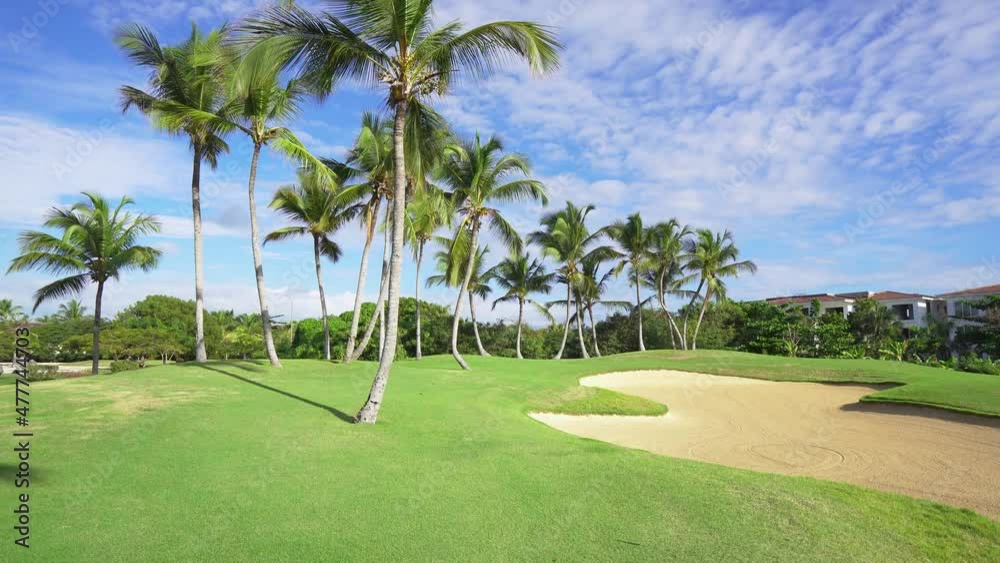 Bright sunny golf course with palm trees. Green meadow grass and blue cloudy sky. Summer sport vacation. Bright sunny golf course with palm trees. Green meadow grass and blue cloudy sky. Summer sport vacation.