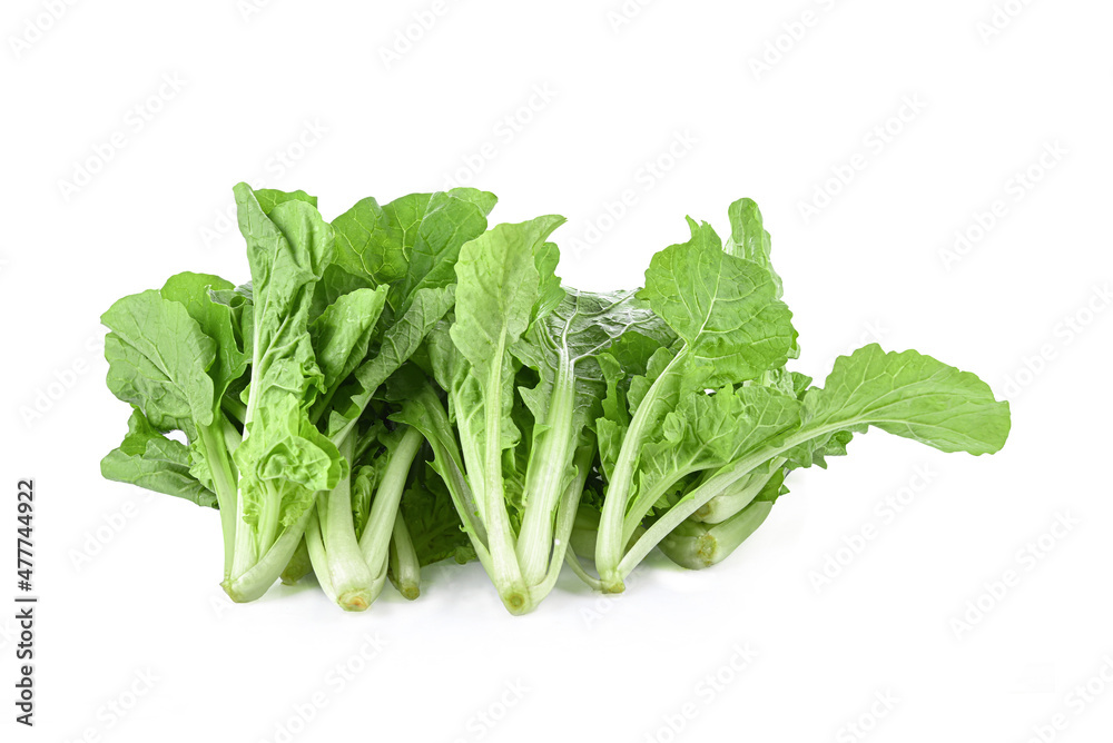 fresh green lettuce salad leaves isolated on white background fresh green lettuce salad leaves isolated on white background