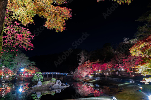 静岡県伊豆市修善寺 虹の郷 紅葉のライトアップ リフレクション © あんみつ姫