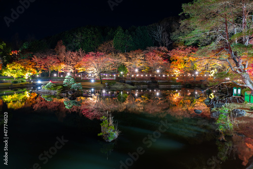 静岡県伊豆市修善寺　虹の郷　紅葉のライトアップ　リフレクション  © あんみつ姫