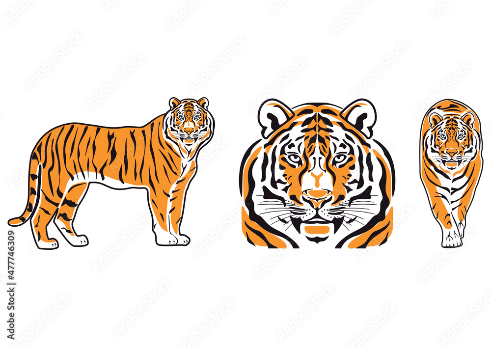 Fototapeta premium Tiger symbol. Icon, logo or tattoo. Vector illustration.