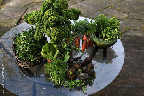 jesienne plony na szklanym stole na tarasie jarmuż warzywa zielenina
