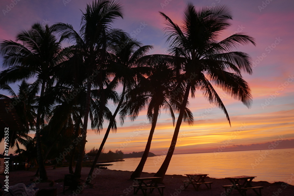 Carribean Sunrise
