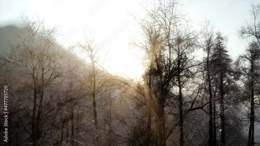 beautiful winter landscape in the mountains beautiful winter landscape in the mountains