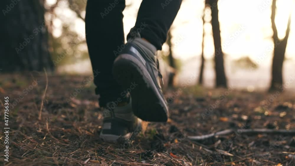 hiker feet walking the dog in the park forest. travel concept. close-up of a leg man walking with a dog in the park in the forest. journey pet dog walk concept. hiker sneakers walking close-up park hiker feet walking the dog in the park forest. travel concept. close-up of a leg man walking with a dog in the park in the forest. journey pet dog walk concept. hiker sneakers walking close-up park
