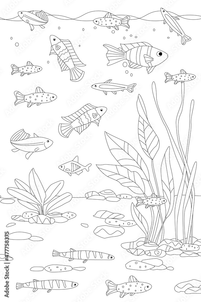 Fototapeta premium tropical freshwater scene with swimming cute fish and seaweed fo