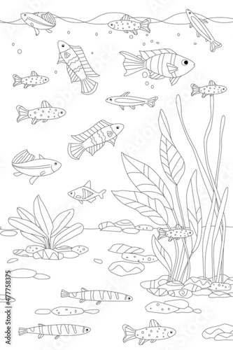 tropical freshwater scene with swimming cute fish and seaweed fo