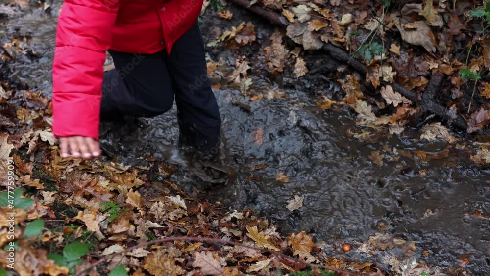 Child of African ethnicity walking in a shallow stream with fallen autumn leaves, wearing rubber (wellington) boots. Close up. Child of African ethnicity walking in a shallow stream with fallen autumn leaves, wearing rubber (wellington) boots. Close up.