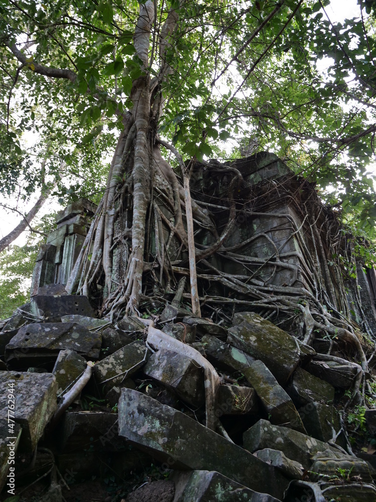 Bayon Temple Angkor Thom, Siem Reap, Cambodia Bayon Temple Angkor Thom, Siem Reap, Cambodia
