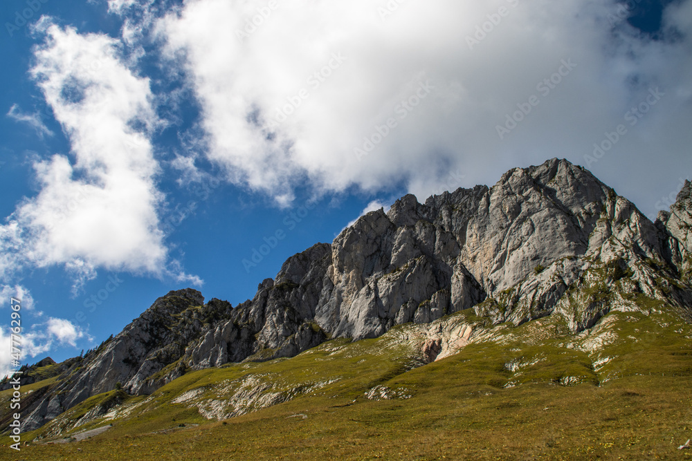 swiss alps in summer 002