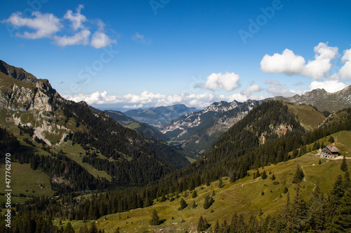 swiss alps in summer 001 © Quentin