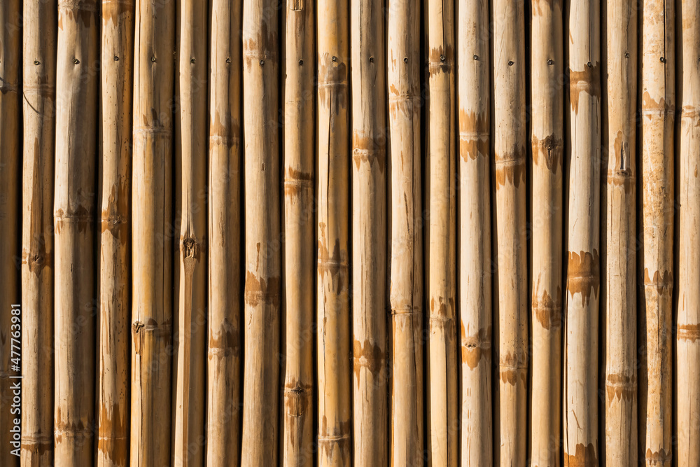 Old brown tone bamboo simple wall or Bamboo fence texture background for interior or exterior design vintage tone. Brown bamboo stick pattern backdrop. Local area urban house protection from thief. Old brown tone bamboo simple wall or Bamboo fence texture background for interior or exterior design vintage tone. Brown bamboo stick pattern backdrop. Local area urban house protection from thief.