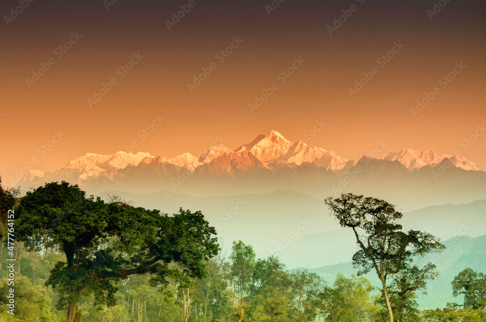 Nice view of trees of Silerygaon Village with Kanchenjunga mountain range at the background, moring light, at Sikkim, India