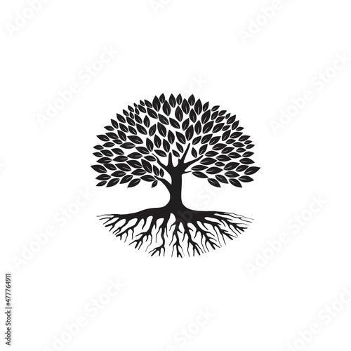 olive tree vector silhouette, with leaves, branches, and roots. photo