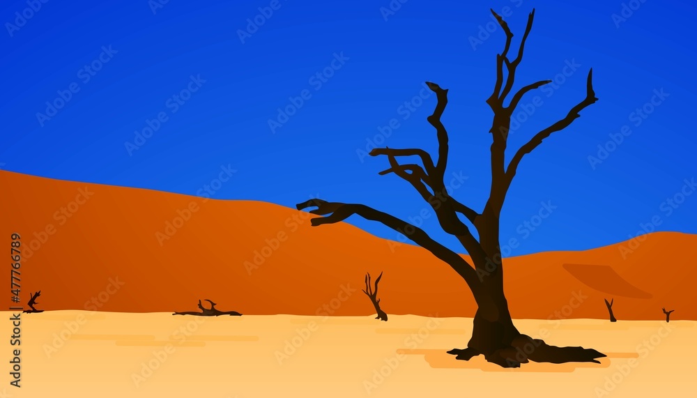 desert tree landscape
