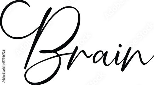 Brain Elegant Cursive Calligraphy Text 
