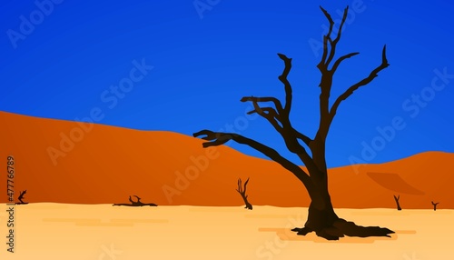 desert tree landscape