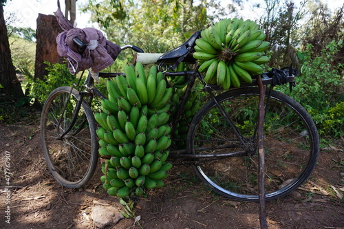 Bicycle heavily loaded with fresh bananas, Fort Portal