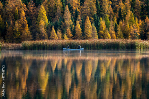 Fototapeta Naklejka Na Ścianę i Meble -  Autumn Scene Canada