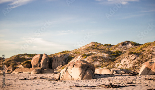 Beach rocks and dunes on a beach at sunset in Jacobsbaai, South Africa.