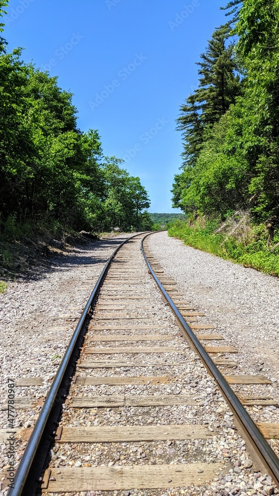 railway in the forest