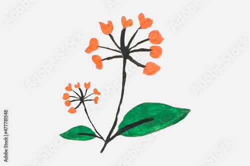 Floral Design elements Hand drawn watercolor flower illustration Botanical clipart