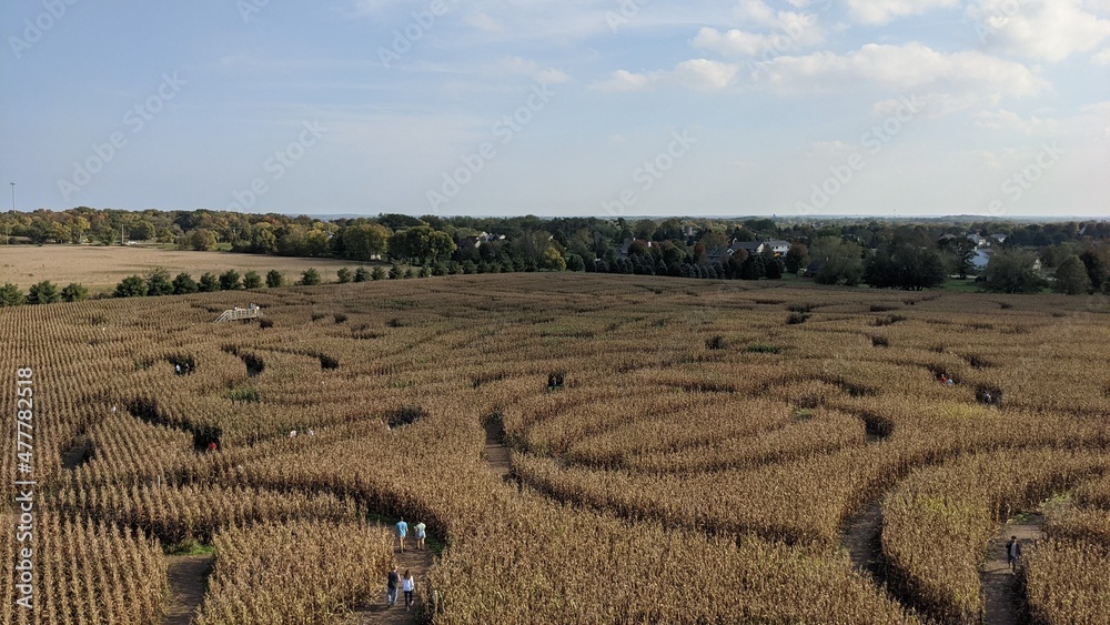 labyrinth in the field